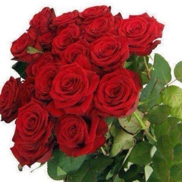 sawsan_mohmad